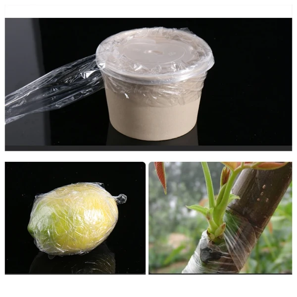 product-600-600